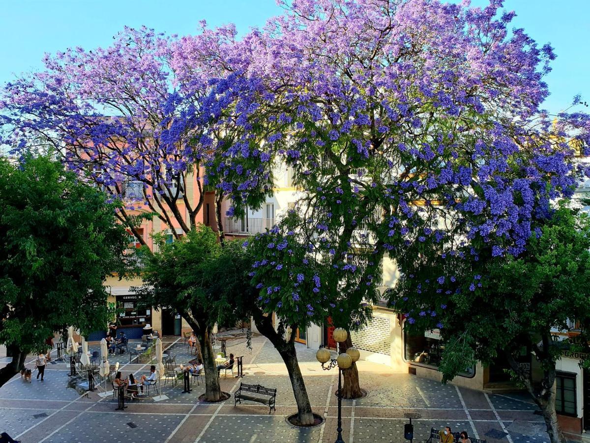 Sherryflat Senovilla جيريز المظهر الخارجي الصورة